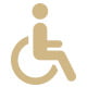 Disabled Access Disabled Access