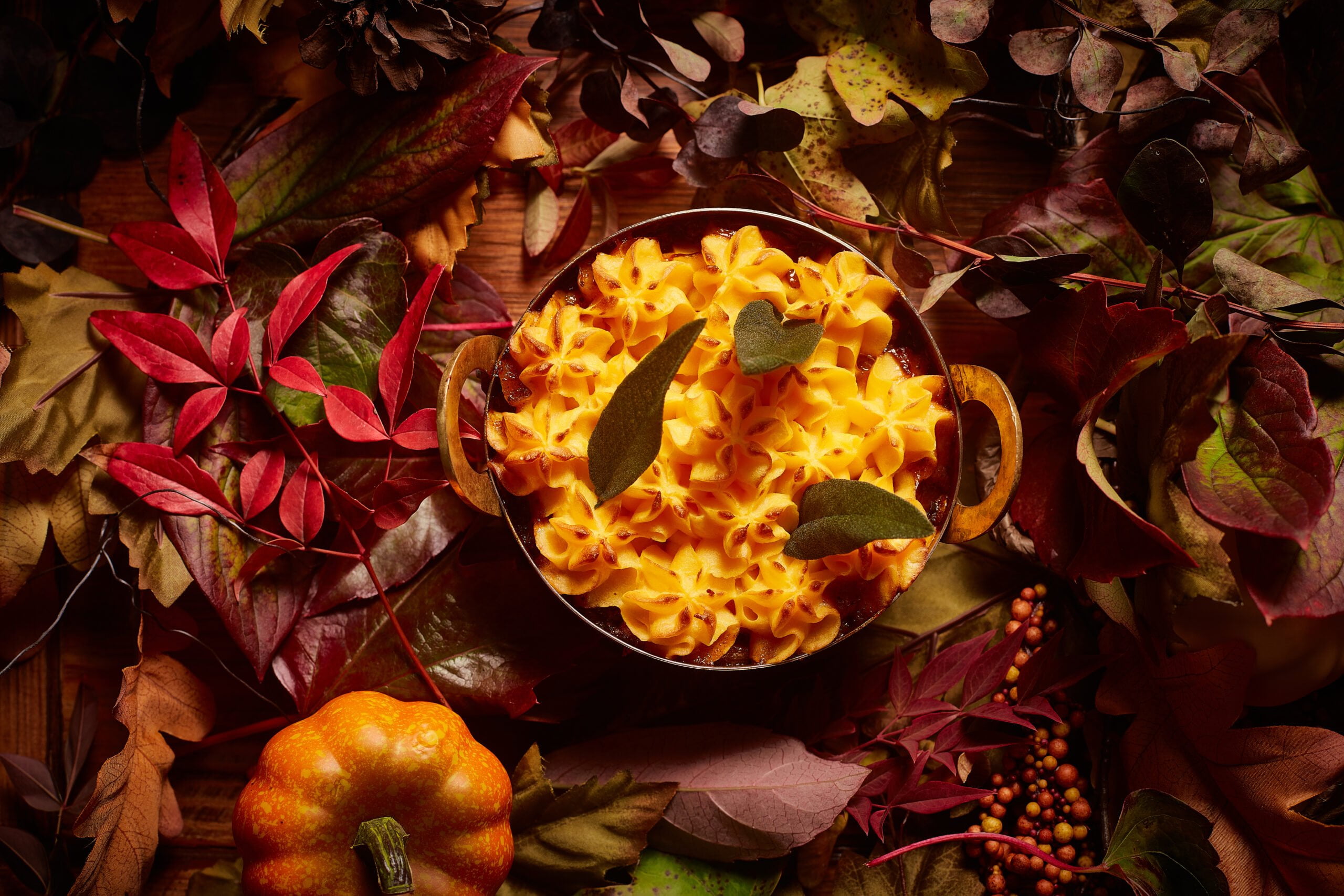 Trick or Treat... Enjoy 25% off this Halloween